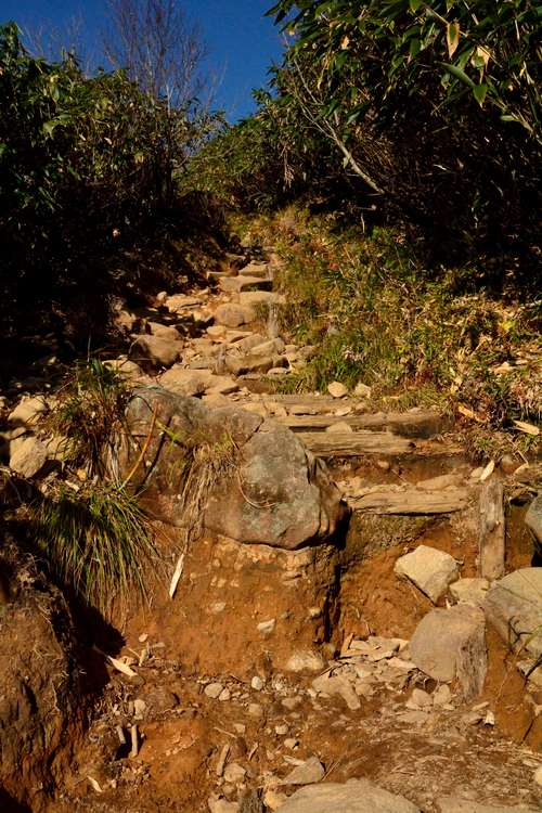 e0241691_2046560.jpg