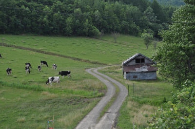 e0180796_6444628.jpg