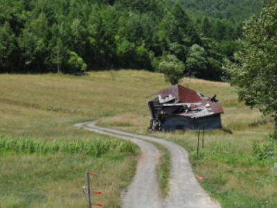 e0180796_645631.jpg
