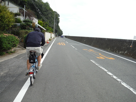 笠岡コスモス&ラーメンサイクリング_c0132901_1813562.jpg