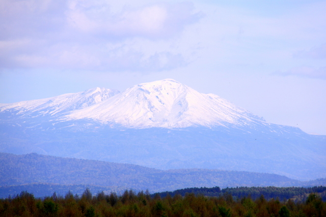 d0248502_537115.jpg