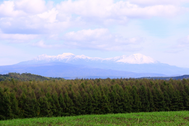 d0248502_5371556.jpg