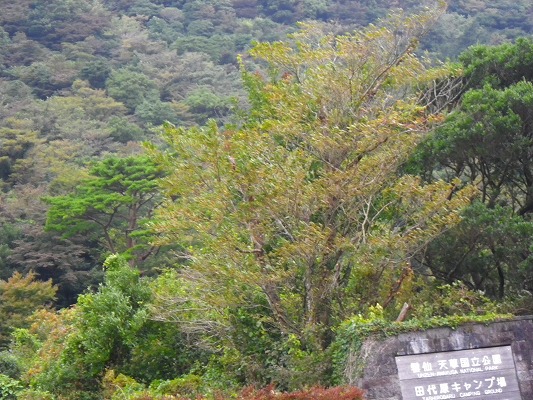 f0187402_843097.jpg