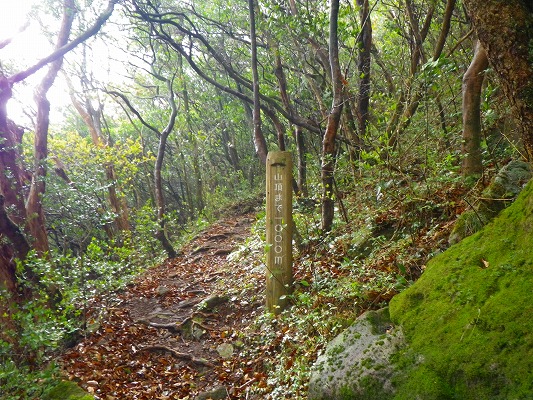 f0187402_845181.jpg