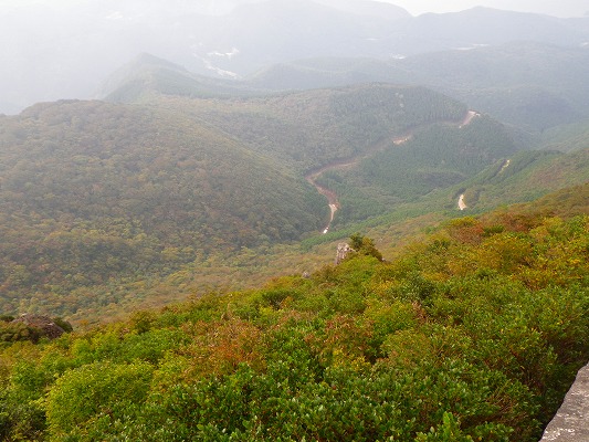 f0187402_853631.jpg