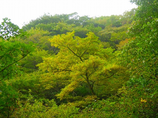 f0187402_862722.jpg