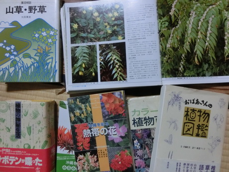 a0203003_2283425.jpg