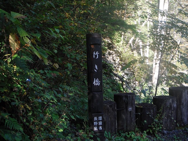b0326303_00000185.jpg