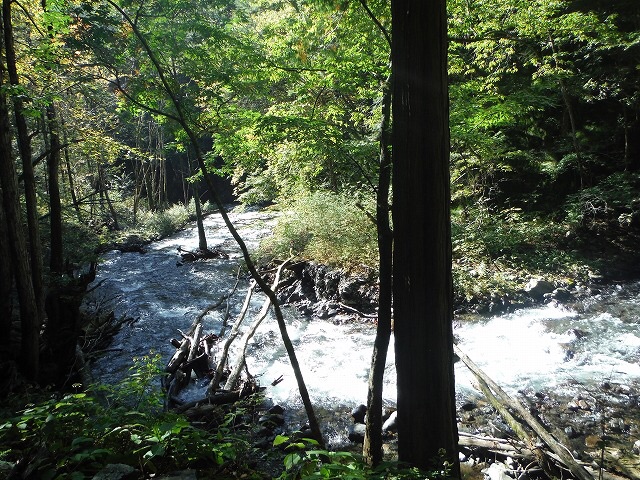 b0326303_00082601.jpg