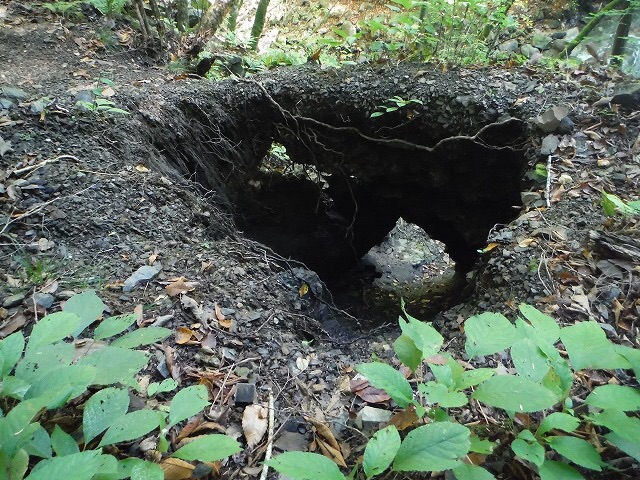 b0326303_00114742.jpg