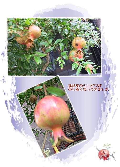 d0028304_1348193.jpg