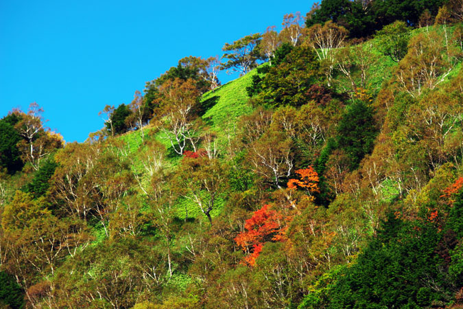 奥日光　半月峠の紅葉_a0263109_1625291.jpg