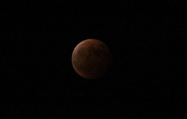 a0203510_9131576.jpg