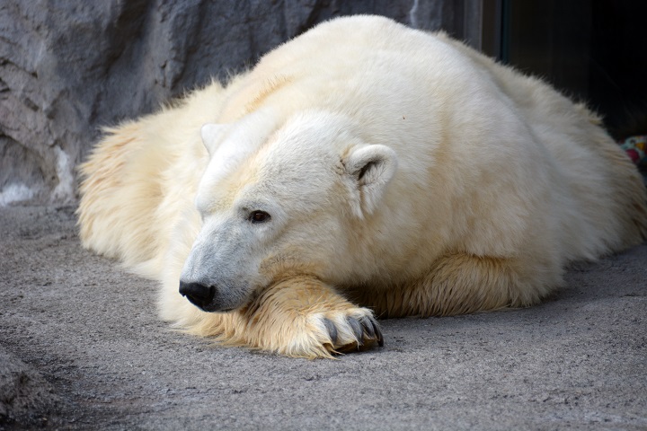 a0151913_493813.jpg