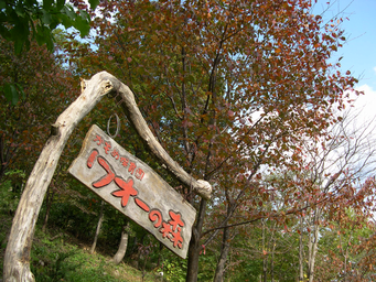 c0173813_10281604.png