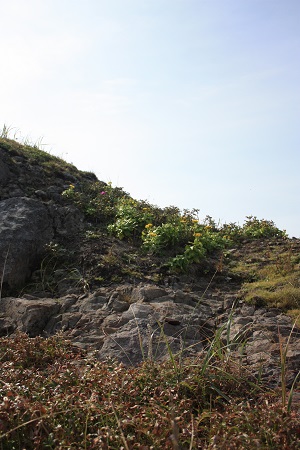 c0200413_11424332.jpg