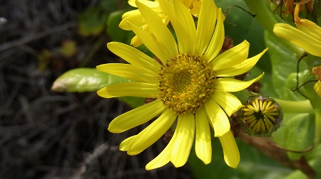 c0200413_13293423.jpg