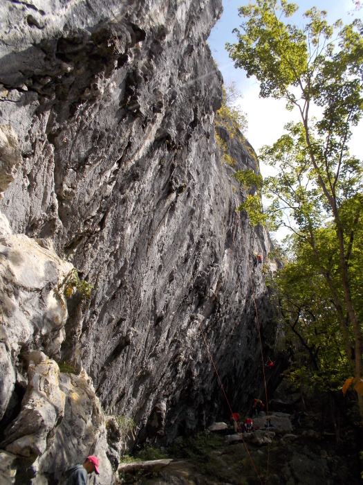 b0037220_23531975.jpg