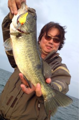 10月12日日曜日。_e0100021_2011106.jpg