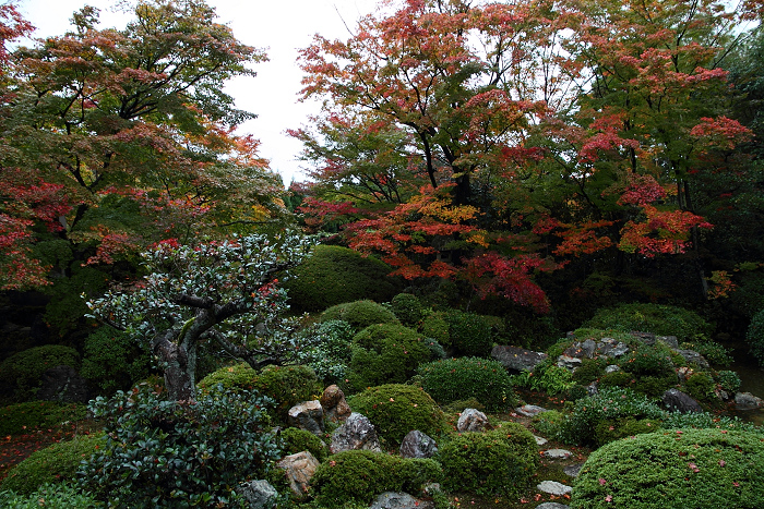 そうだ 京都、行こう －2014年紅葉　鷹峯・源光庵（後編）－_b0169330_2363727.jpg