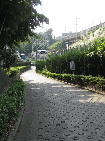 c0217931_1475415.jpg