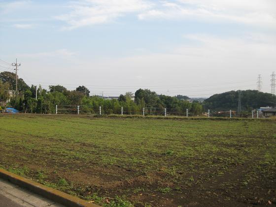c0217931_14851.jpg