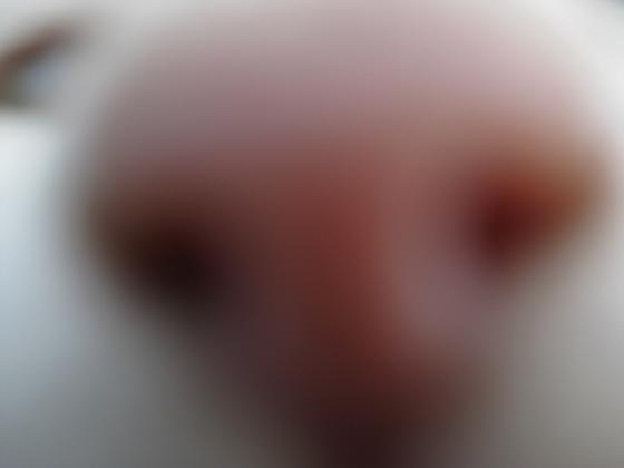 c0217931_1492269.jpg