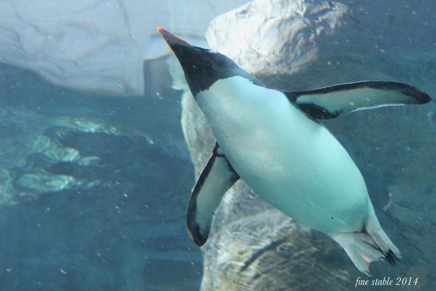 c0240132_65905.jpg