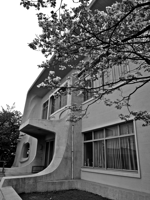 建築物探訪 ”佐賀編” 『大隈記念館』_f0315034_16530622.jpg