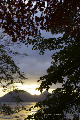 b0321336_20341794.jpg