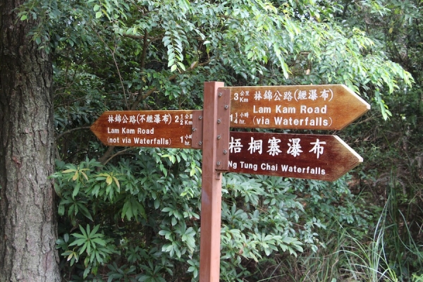 ☆梧桐寨瀑布-Ng Tung Waterfall⑥−散髪瀑−☆_c0334838_16590391.jpg