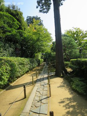 大徳寺塔頭孤篷庵♪_f0295238_22414761.jpg
