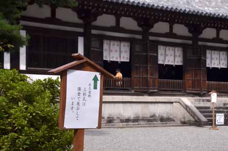 2014 年度発掘調査 史跡唐招提寺旧境内発掘調査=橿考研 : 平城宮 2014 年度発掘調査 史跡唐招提寺旧境内発掘調査=橿考研 : 平城宮