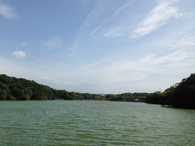 b0217643_1829177.jpg