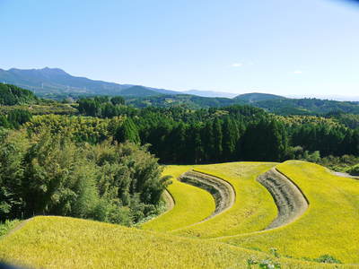 a0254656_175307.jpg