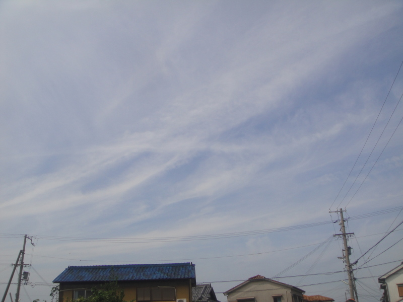 嵐の前の静けさか・・・ by (TATE-misaki)_c0108460_16560295.jpg