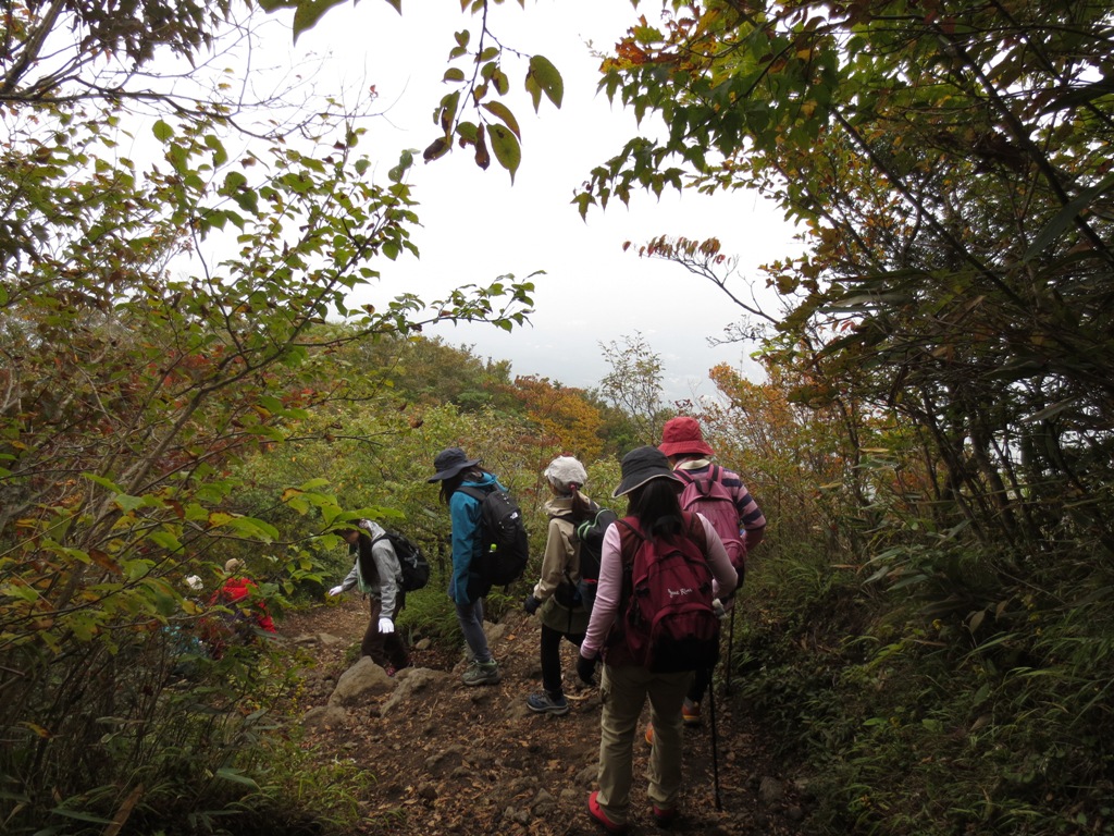 箱根・金時山_c0310571_22303558.jpg