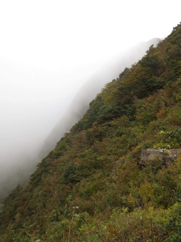 箱根・金時山_c0310571_22311415.jpg
