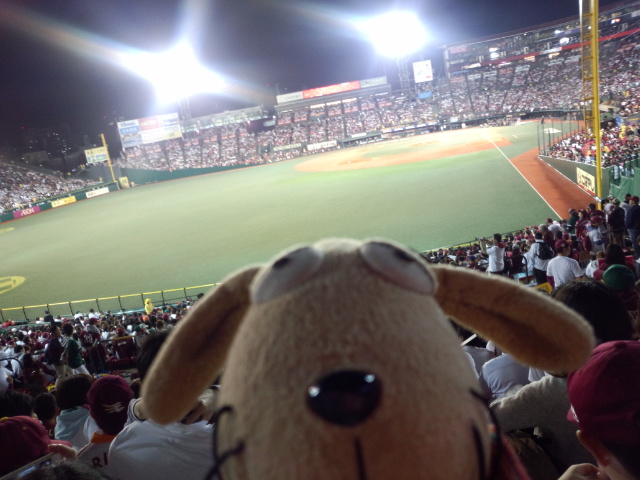 c0158573_1430839.jpg