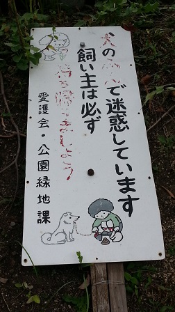 f0228680_1259727.jpg