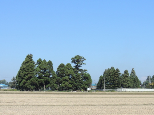 f0357183_23403221.jpg