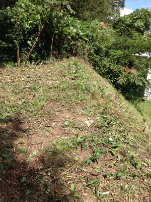 a0247584_12375247.jpg