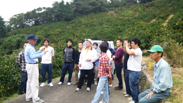 登録ミカン 職員学習会_d0141987_10023486.jpg