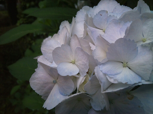 d0227799_06251946.jpg