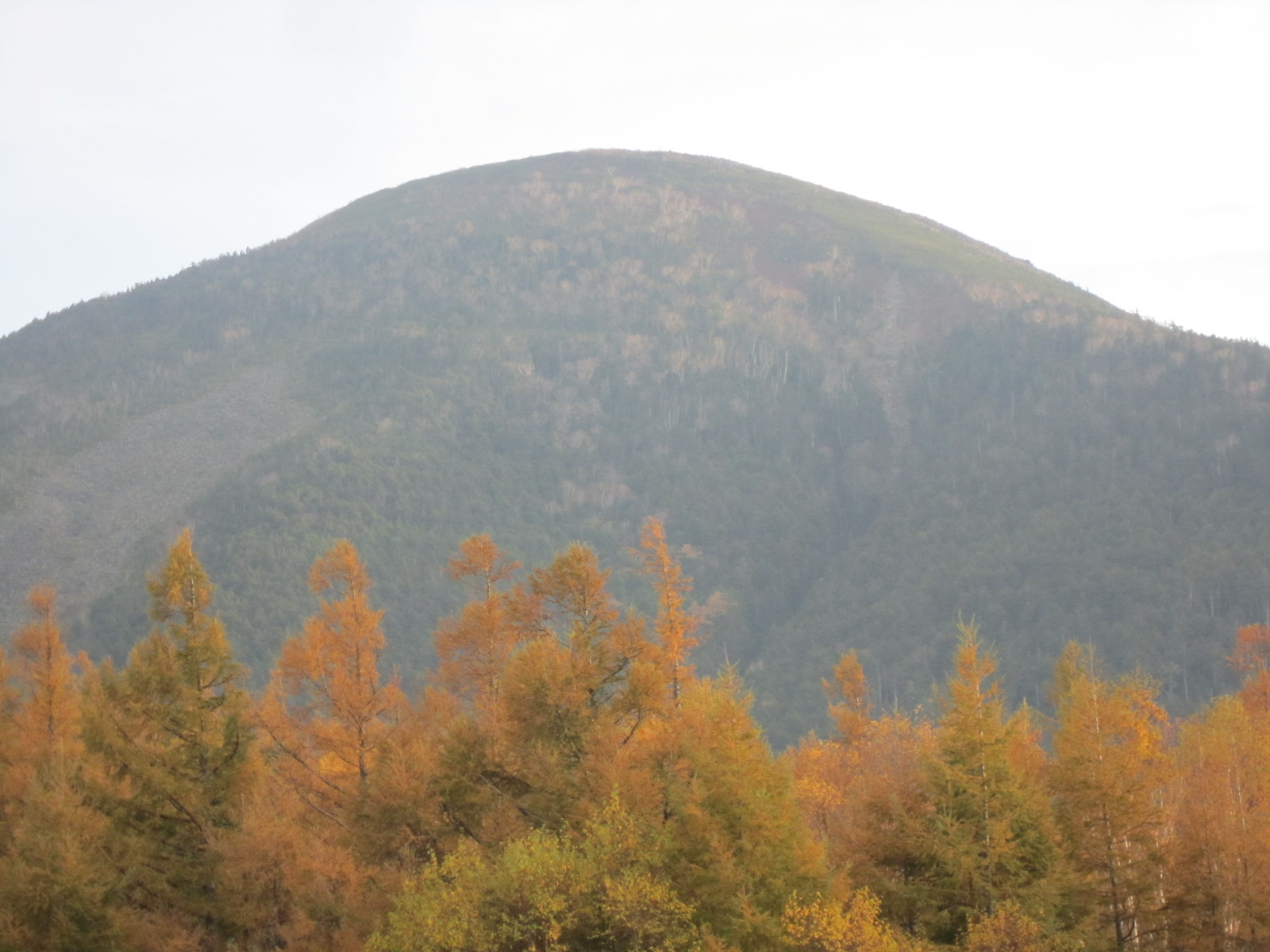 f0357499_22454651.jpg