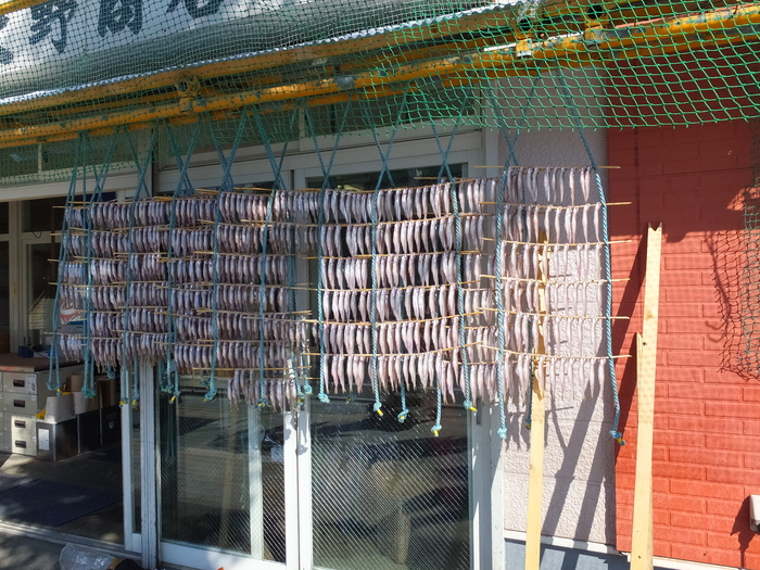 ししゃも寿司を食べに行こう!!_c0226202_20485635.jpg