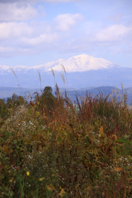 d0248502_2330642.jpg
