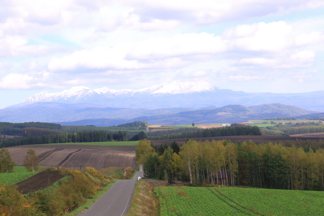 d0248502_23475625.jpg