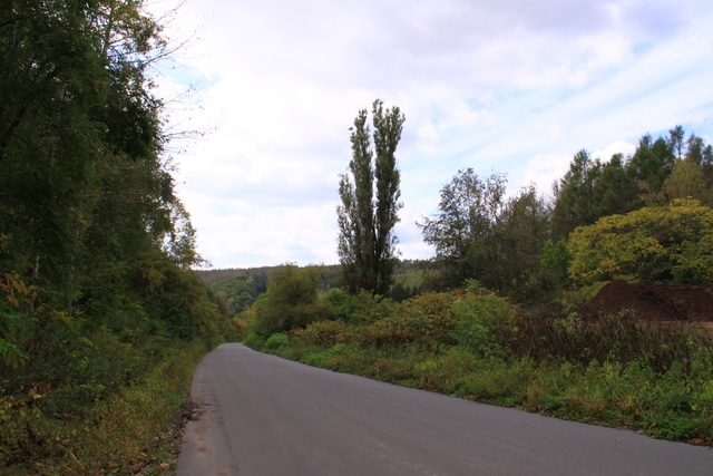 d0248502_23521168.jpg