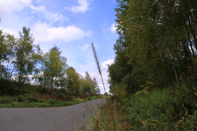 d0248502_23524965.jpg